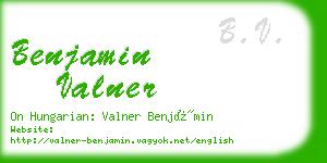 benjamin valner business card
